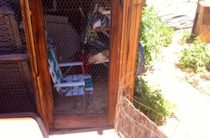 My stakeout spot, in the old pigeon pen