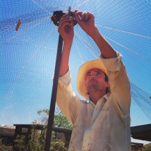 Attaching rope and bird netting to the hub and the fence