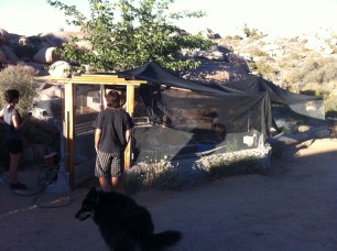 Aaron & Ronda's fortress garden