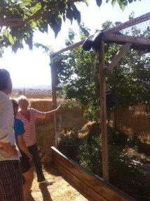 Tee & Eric's garden fortress