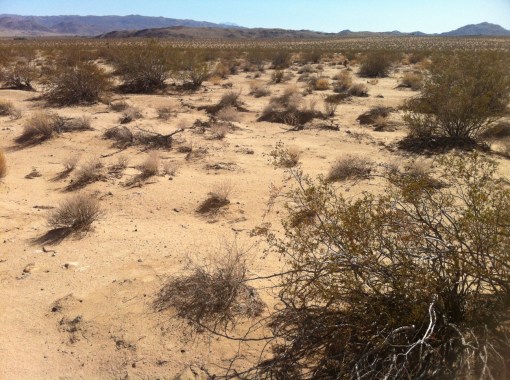 The spot, 34.2 x -116.25, or N34 12' x W116 15'